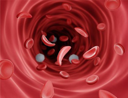 A stylized rendering of red blood cells
