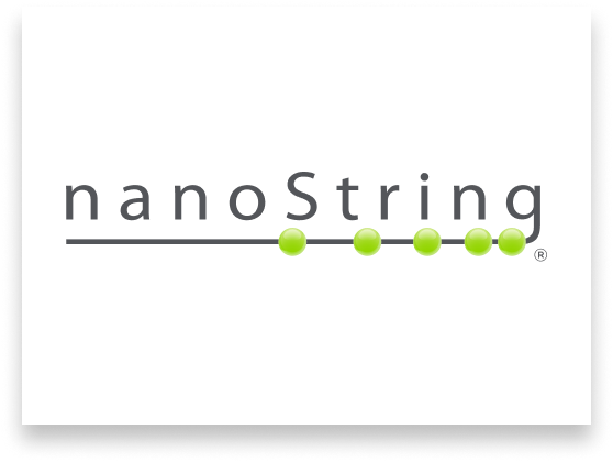 nano string