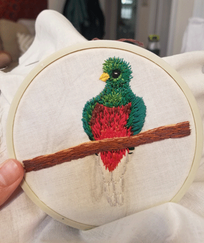 Quetzal's Eembroidery