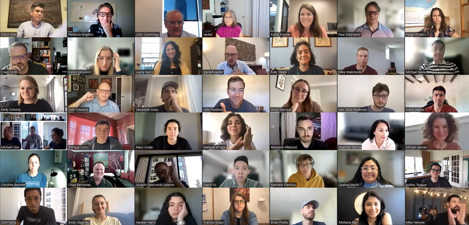 A GIF showing the HDMZ team on a Zoom video call.
