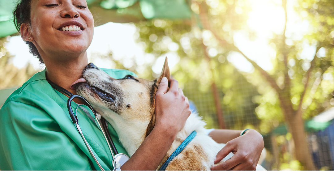 Image of dog and vet