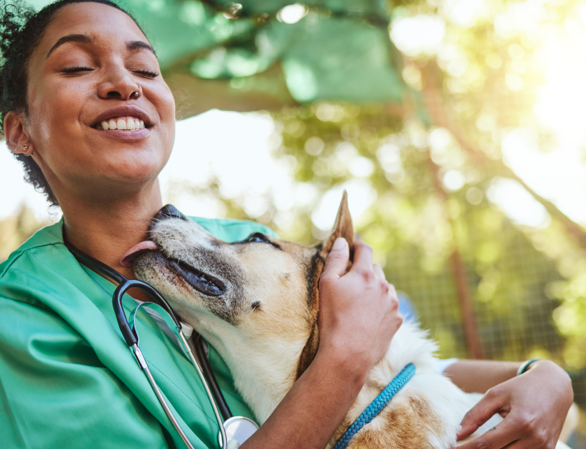 Image of dog and vet