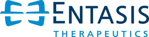 Entasis logo Entasis logo