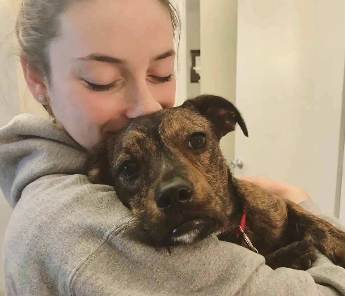 A woman in a gray hoodie embraces a brindle dog, resting her cheek on its head. The dog looks at the camera with wide eyes.